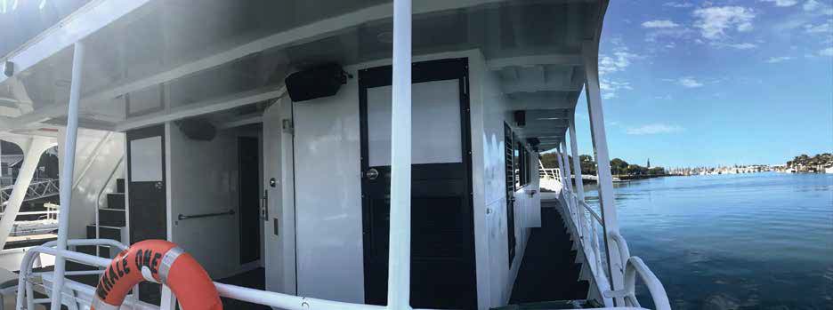Whale One Aft Deck